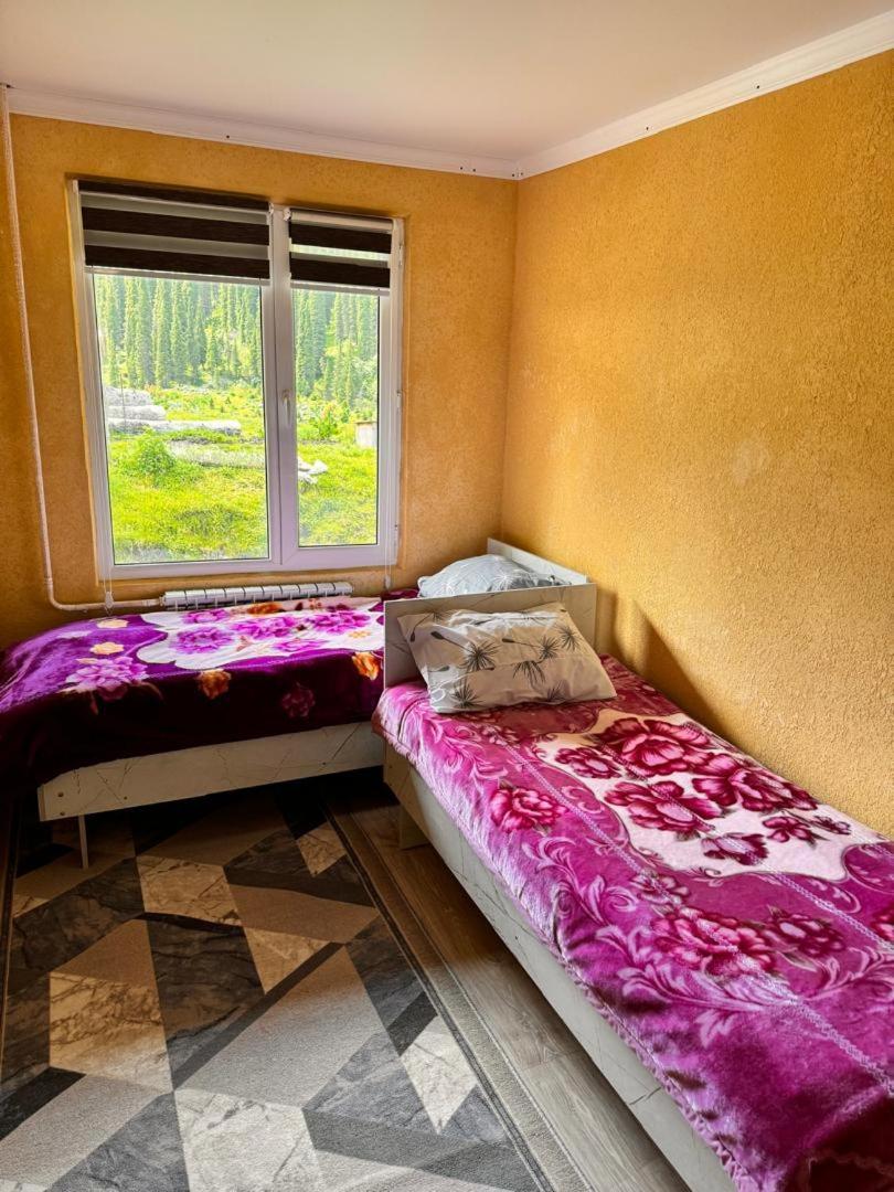Ala-Kul Guesthouse In Altyn-Arashan Karakol Eksteriør bilde