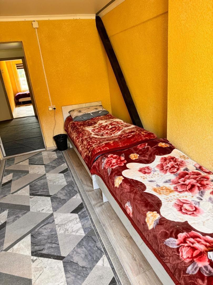 Ala-Kul Guesthouse In Altyn-Arashan Karakol Eksteriør bilde