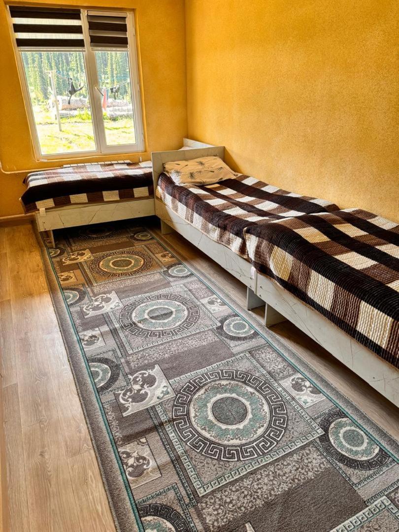Ala-Kul Guesthouse In Altyn-Arashan Karakol Eksteriør bilde