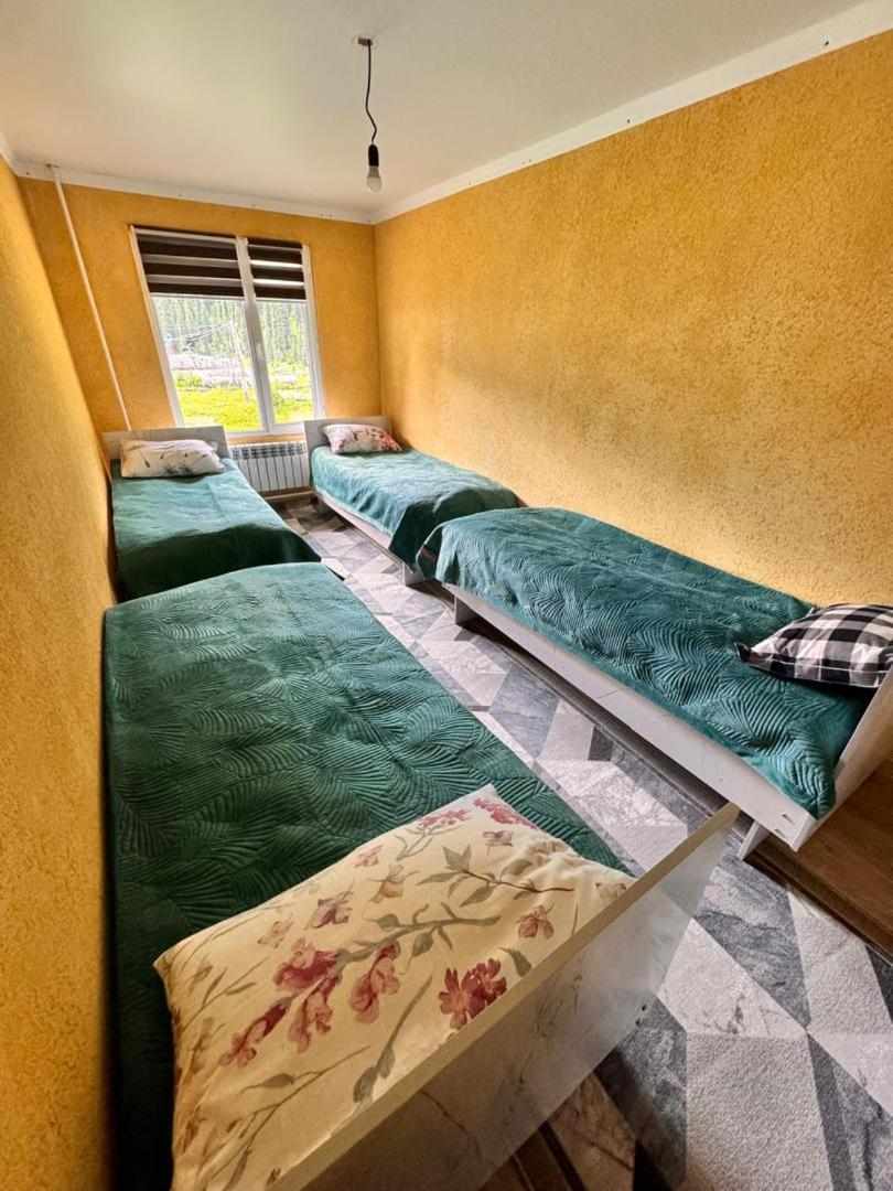Ala-Kul Guesthouse In Altyn-Arashan Karakol Eksteriør bilde
