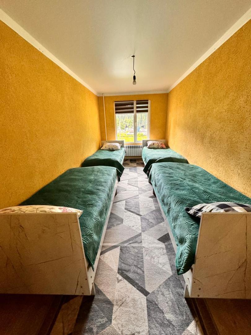 Ala-Kul Guesthouse In Altyn-Arashan Karakol Eksteriør bilde