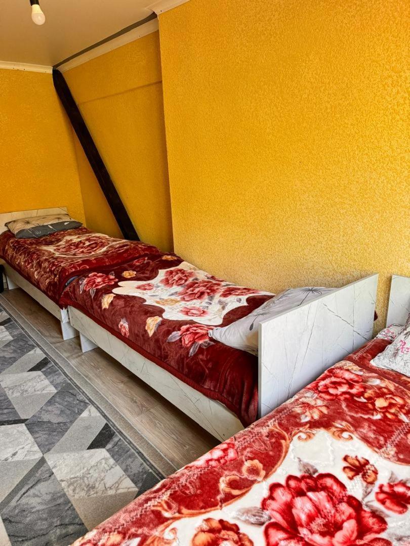 Ala-Kul Guesthouse In Altyn-Arashan Karakol Eksteriør bilde