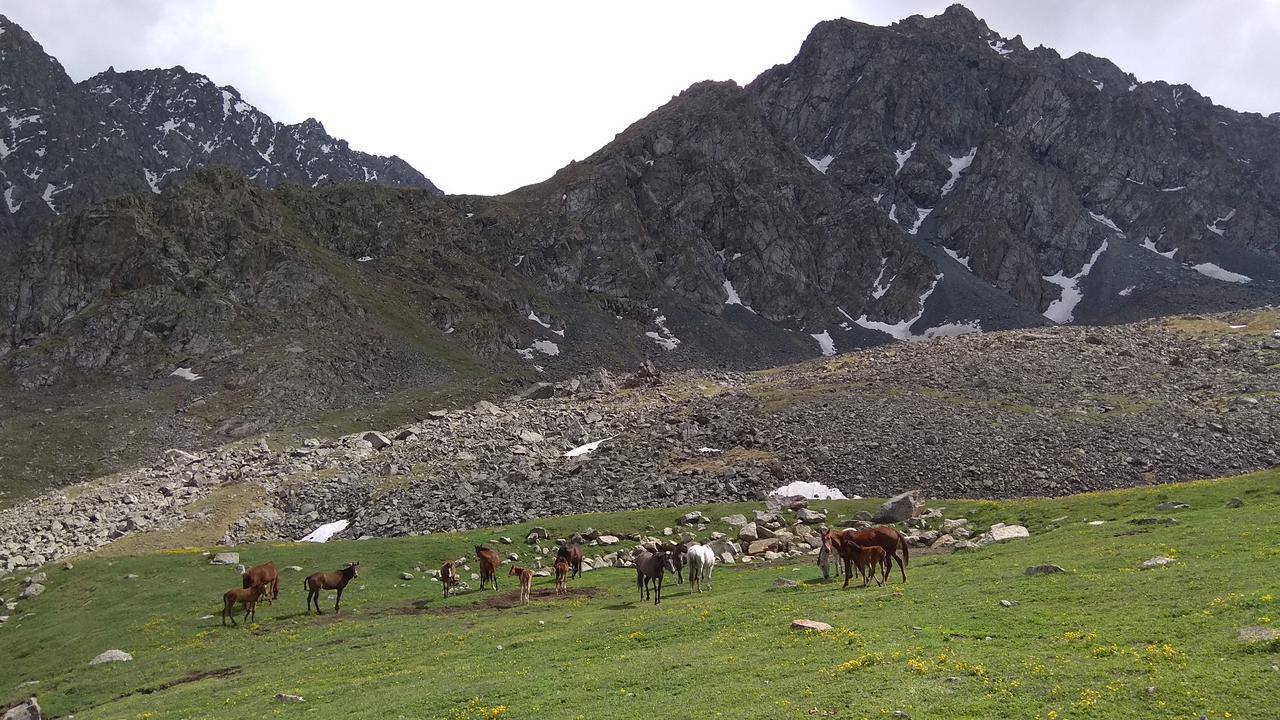 Ala-Kul Guesthouse In Altyn-Arashan Karakol Eksteriør bilde