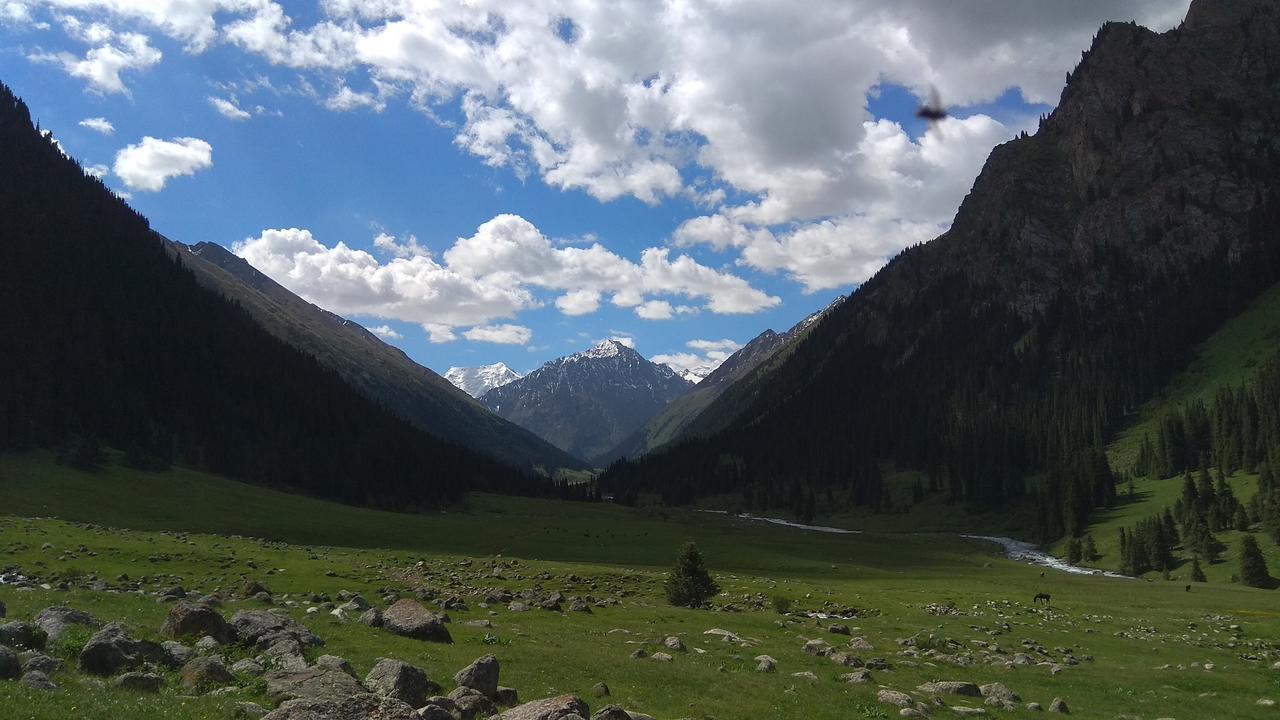 Ala-Kul Guesthouse In Altyn-Arashan Karakol Eksteriør bilde