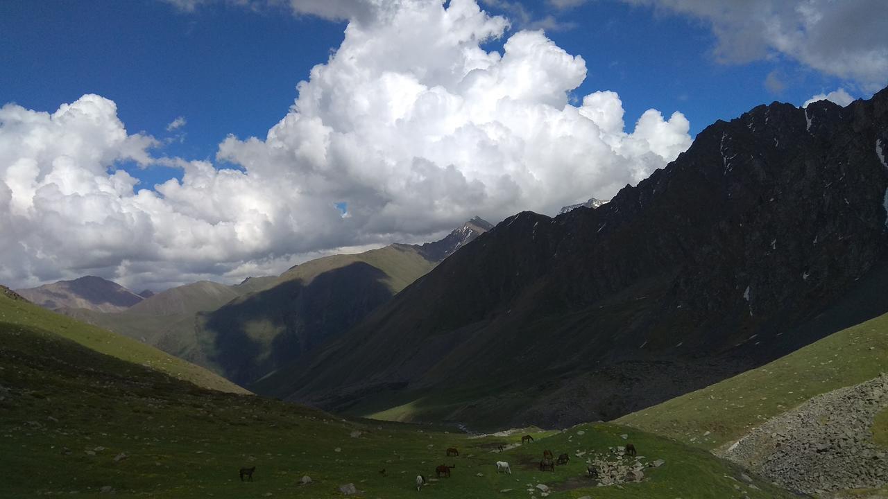 Ala-Kul Guesthouse In Altyn-Arashan Karakol Eksteriør bilde